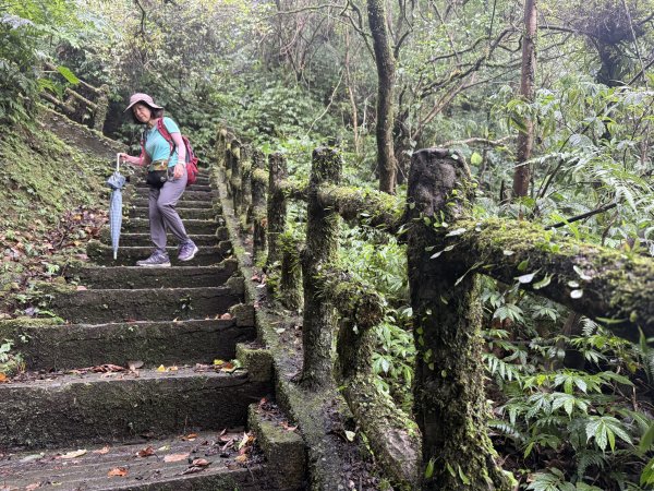 二格山 2025.07.202864228