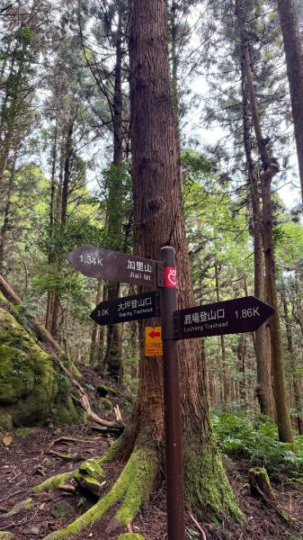 加里山 2025 12/282971690