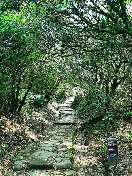 走遍陽明山：擎天崗系｜景遠心自闊，潺潺溪水聲洗去一身憂2113820