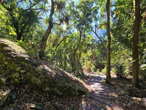 雪山坑登山步道~巨人之手2948727