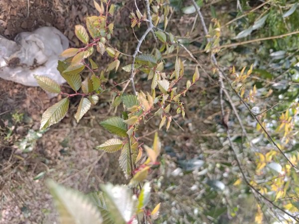 塘湖古道塘湖山甕缸潭2454303