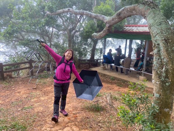田中森林公園步道、赤水崎公園步道、花牆、龍過脈古蹟2750909