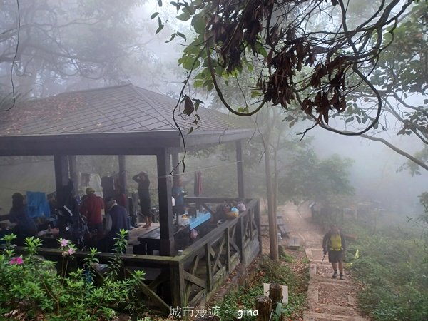 【台南白河】雞籠山+九龍山+大凍山O繞縱走2797163