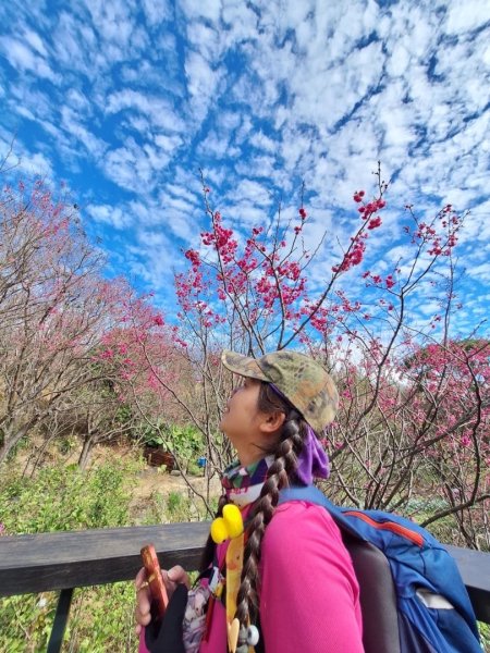 風尾步道-十八份拐圳步道-陽峰古道-頂坪櫻田-橫嶺古道-半嶺水圳古道-崧溪瀑布-天母圓環2419752