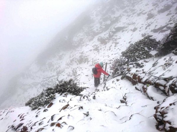 【新聞】玉山又下雪了！呼籲山友應準備齊全才能上山！！