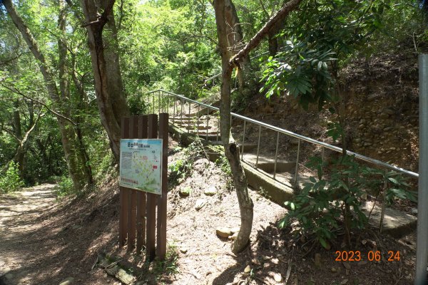 彰化 田中 田中森林登山步道2198467