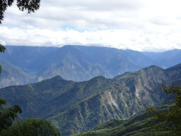 台灣小百岳第54座-南投鹿谷金柑樹山217586