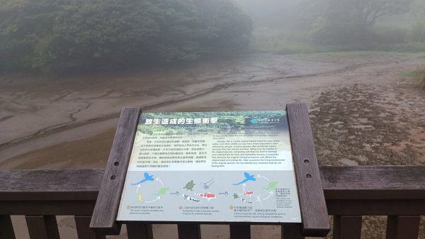 菜公坑山步道2086126