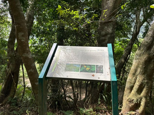 得卡倫步道上立霧山從砂卡噹步道回太魯閣國家公園遊客中心2122131