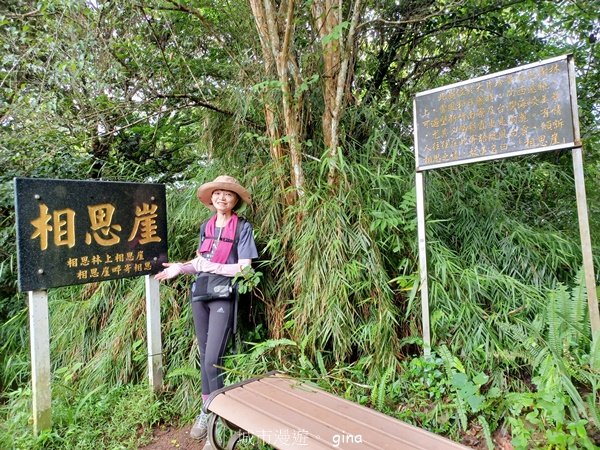 【新竹芎林】台灣百大必訪步道。 飛鳳山、觀日坪古道O繞2564344