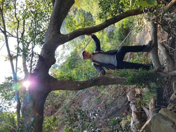 小百岳No.80⛰里龍山2776333