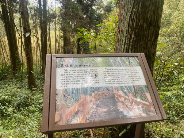 1120329奮瑞古道2643547