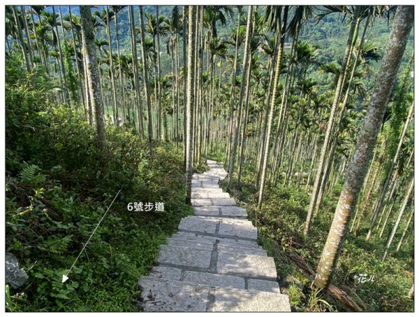 樟湖山 右上左下 (雲林、古坑)2846310