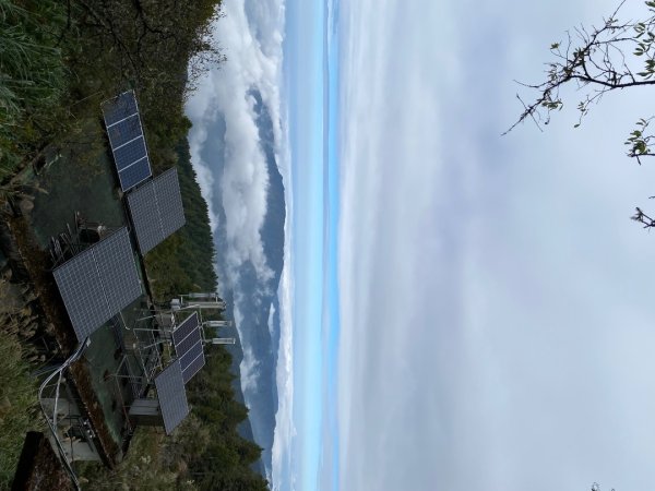 1131215大塔山步道2669233