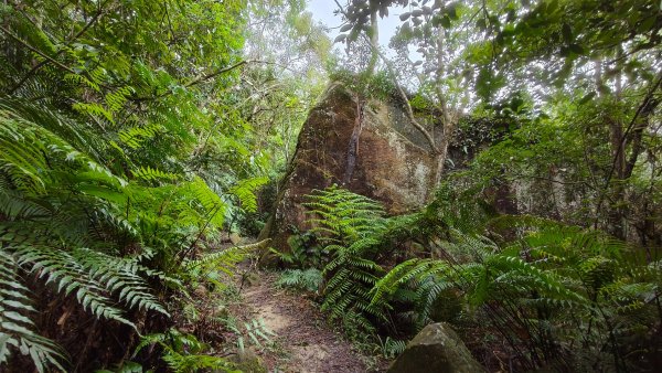燕溪古道-大崙尾山西峰-仙座台山-圓明寺步道2926535