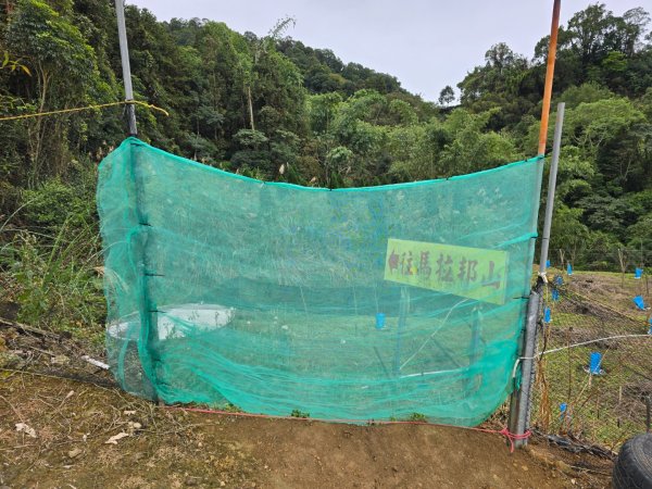 馬那邦山之雲海／雲瀑／楓紅／太陽琉璃光2676365