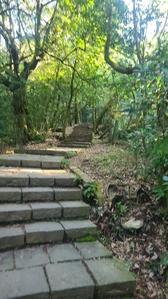 2026-0213 苗圃-凱達格蘭山-七星錐-七星山南峰-小油坑-竹子湖-水車寮步道-湖田猴崁步道-3005643