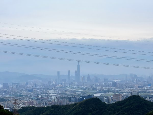 20230514-臺北大縱走第五段之巧遇藍鵲（碧山巖→劍潭捷運站）2150875