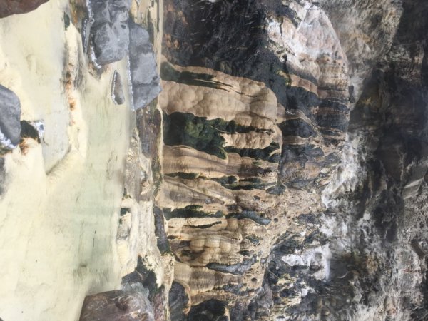 七坑溫泉、十坑溫泉、十三坑溫泉2005966