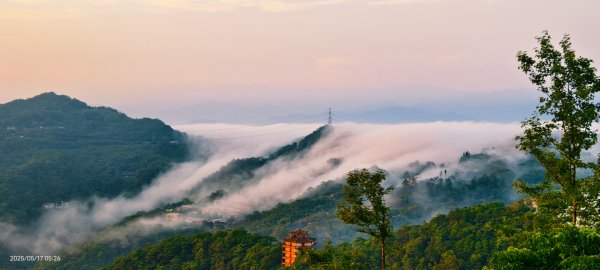 石碇趴趴走追雲趣 #二格山 #雲瀑 #藍腹鷴母鳥 #雲海流瀑 #霧虹 5/172788220