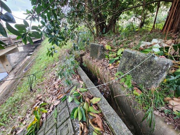 20241229界寮縱走下汐止2721701