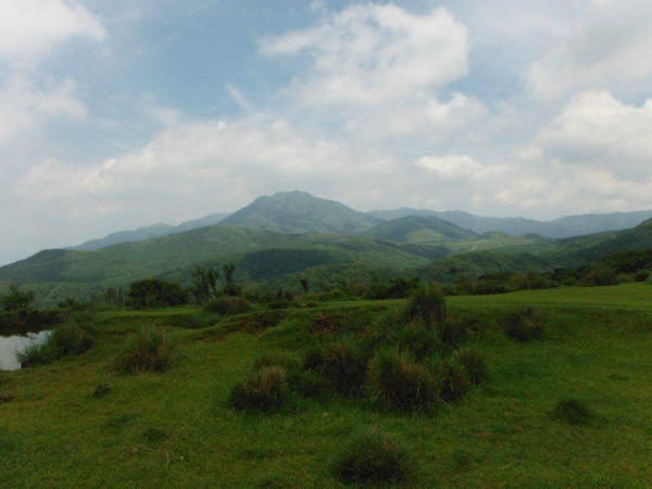 百年坪頂古圳與北五指山之草原驚艷45720