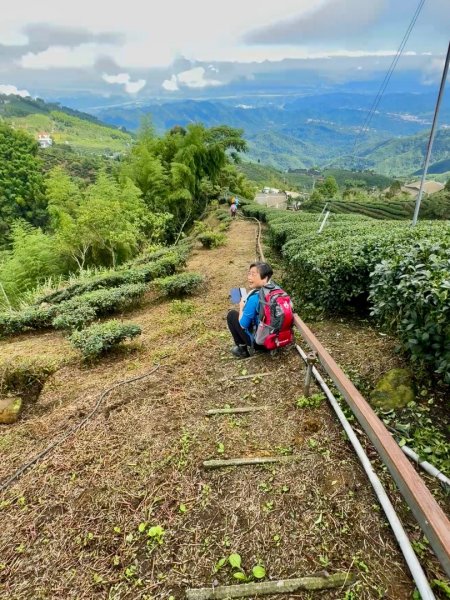 羊彎上武岫大崙山茶園尋山頭2824885