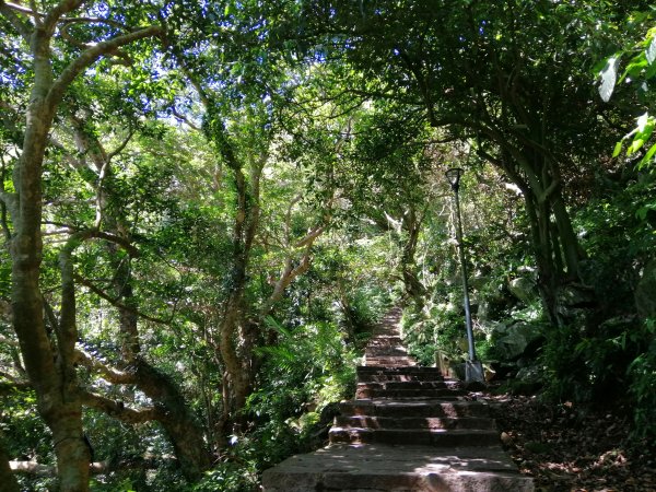 新北~360度極佳視野。八里觀音山硬漢嶺1152601