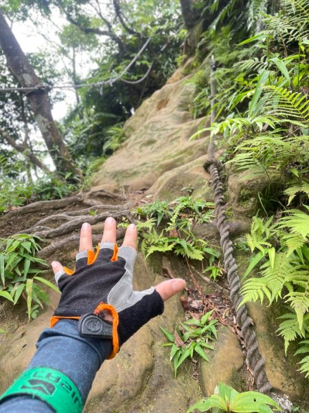 微笑山⛰️線-大棟-二格山-五分山-天上山-鳶山💎12條步道完成💙2834174