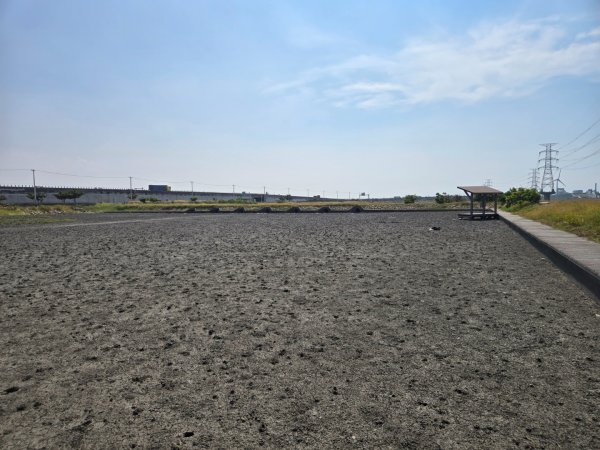 大肚溪濕地生態步道3136047
