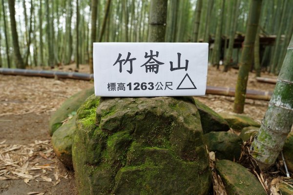 南投 鹿谷 溪頭山、竹崙山、志騰山2730643