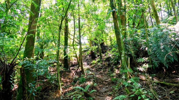 石碇大崙,人頭面山,獅公髻尾山2800424