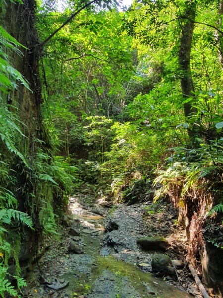 【苗栗】龍王峽谷秘境1777798