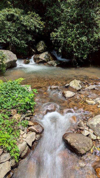 114.04.27草山觀瀑吊橋-紫明溪步道之旅2771762