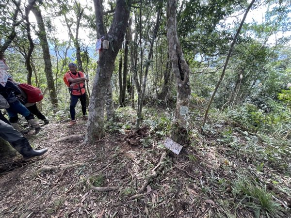 九芎根山-仁里板山2968838