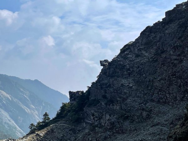 【百岳】奇萊北壁下屏風，驚險刺激的旅程2152338