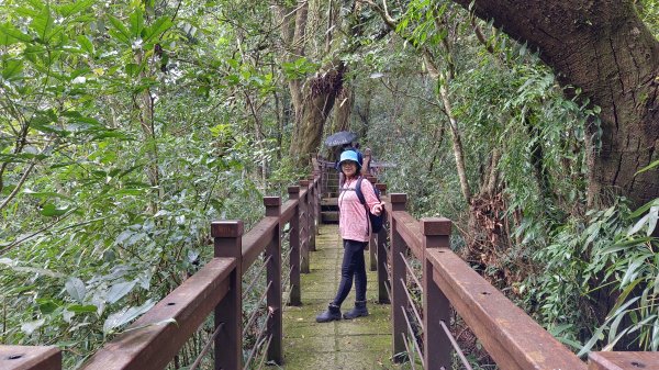 (姨婆趴趴走)第三十集:嘉義梅山太平雲梯、太平老街、太興岩茶園步道、龍王金殿2335392