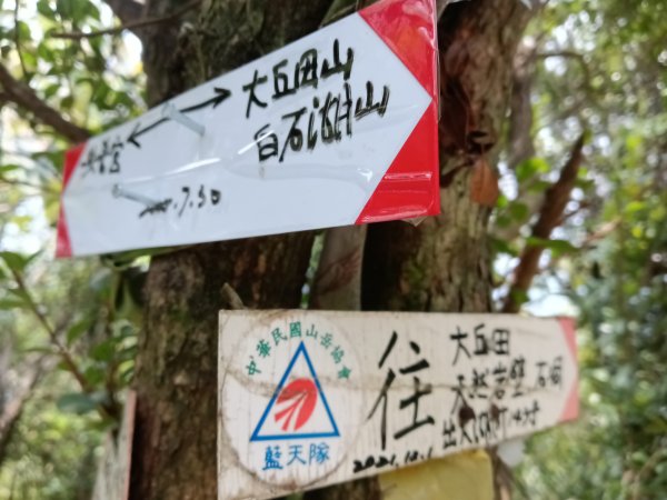 內湖區大丘田保甲路+開眼山+白石湖山+白石湖山東峰+大邱田山+消防山O型2858948