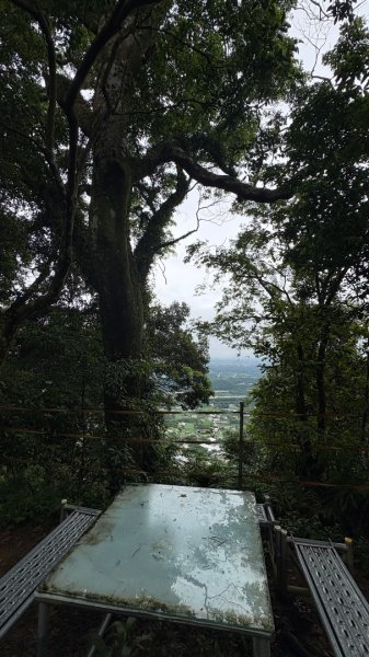 雙溪洲山（母親節快樂）3051407
