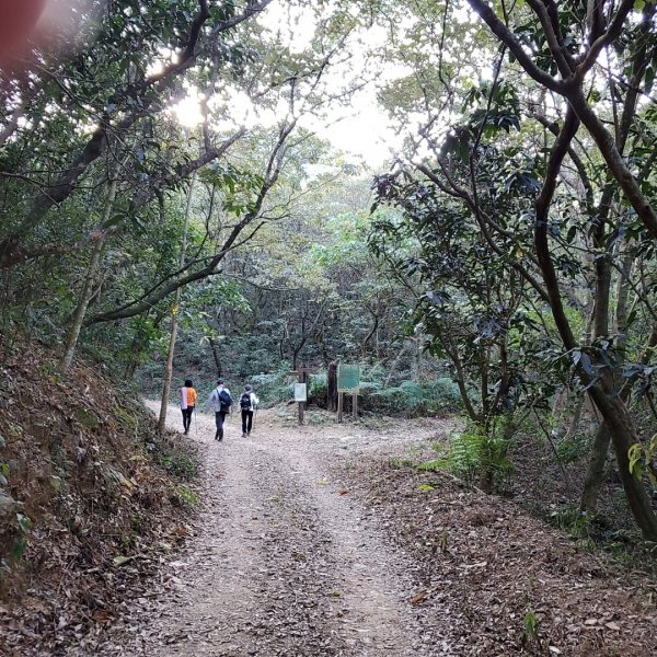 步道巡訪員│冬日尾寮山823584