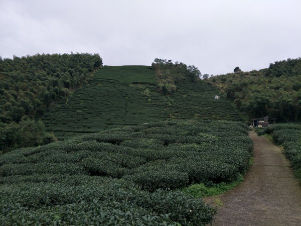 雲嘉七連峰1560690