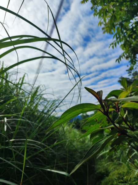 石碇鱷魚島-草湳二格山2786755