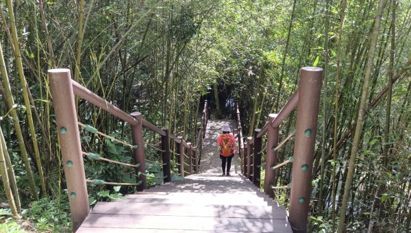 (姨婆趴趴走)第二十一集:桃園復興高遶溪古圳步道、新柑坪山、牛背岩環狀縱走2252301