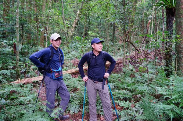 新竹關西鎮 水田林道之貴妃&那結山連走1539747