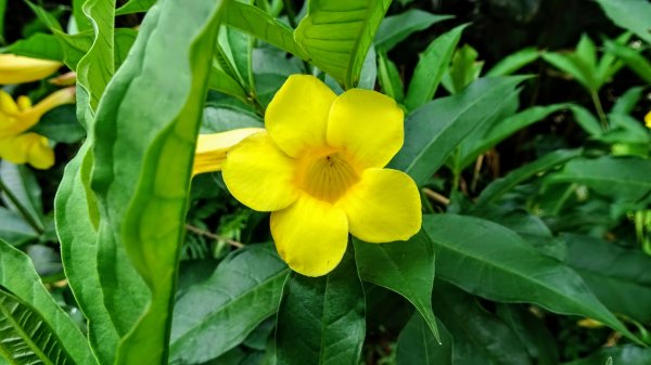 滴水子產道1737595