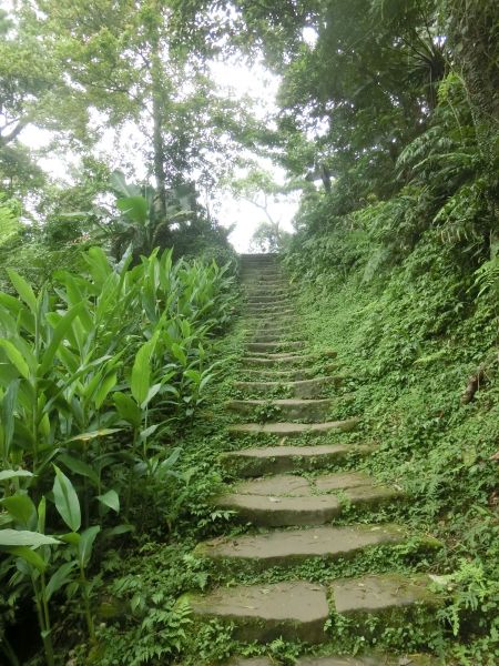 承天禪寺．天上山．桐花公園123448