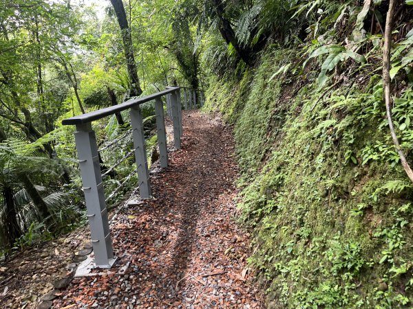 [微笑山線_第十二段] 2025_0803 五分山系_望古瀑布2851547