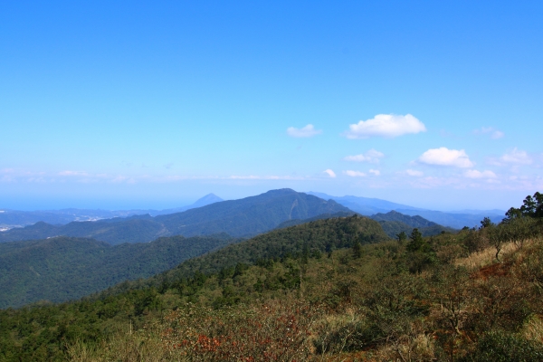 20160210~姜子寮山~旗尾崙山30713