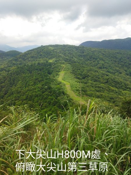 瑞泉古道上大尖山、下富士坪第三草原1760125