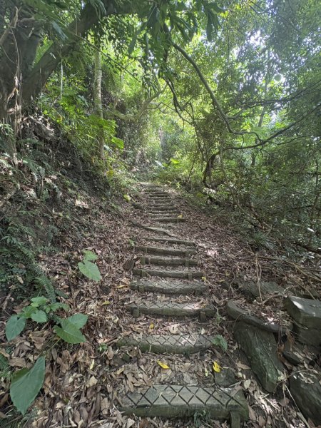 20251010南化龍麟山步道2914987